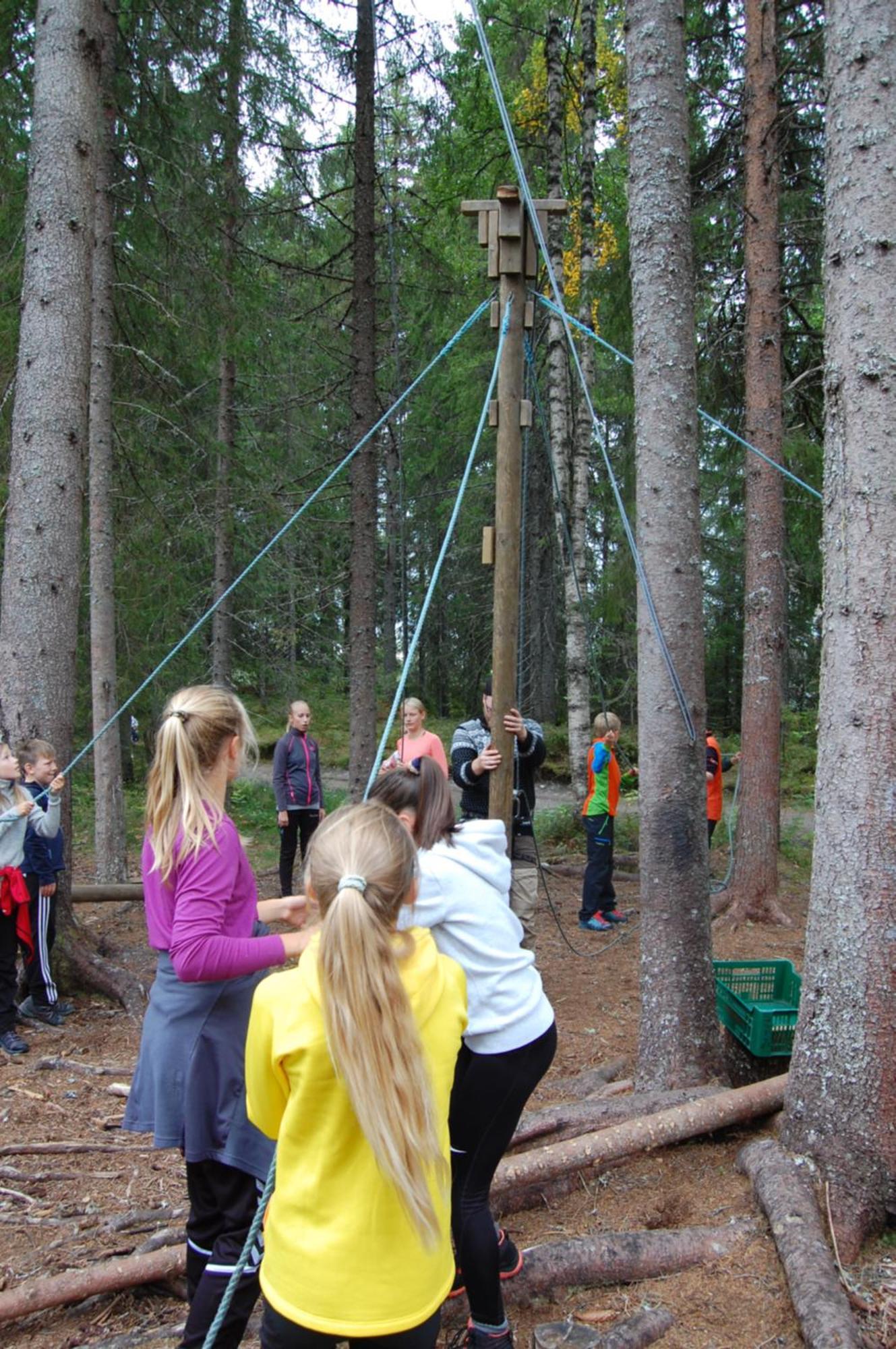 Hotel Camp Sjusjoen Mesnali Zewnętrze zdjęcie